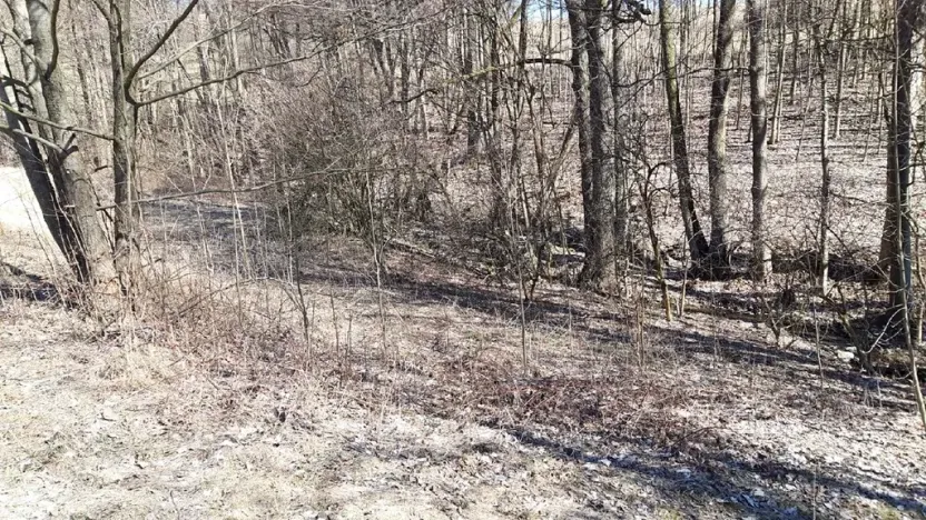 Prodej pozemku pro bydlení, Oskava, 2976 m2