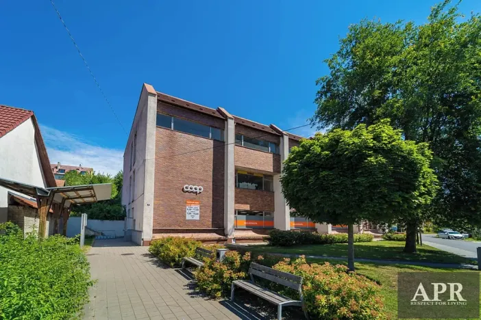 Pronájem obchodního prostoru, Starý Hrozenkov, 520 m2