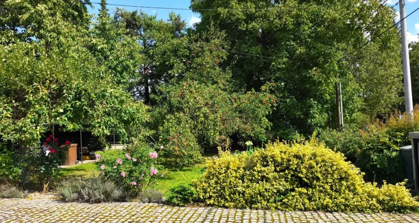 Prodej rodinného domu, Ostrava - Poruba, V Zahradách, 285 m2