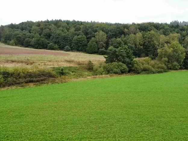 Dražba pole, Kostelec nad Černými lesy, 12366 m2