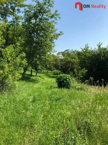 Prodej zahrady, Dalovice, 5231 m2