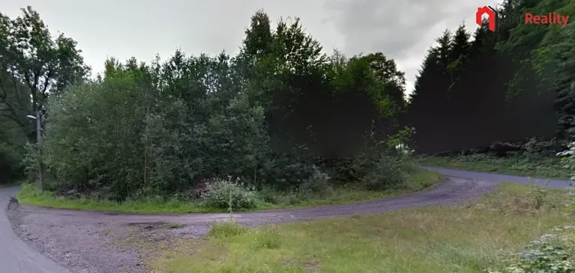 Prodej lesa, Zlatá Olešnice, 1248 m2