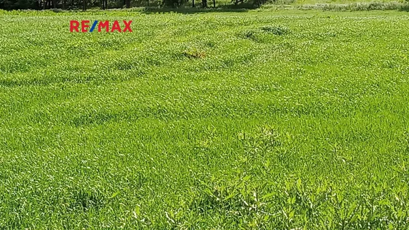 Prodej pole, Drnovice, 32235 m2