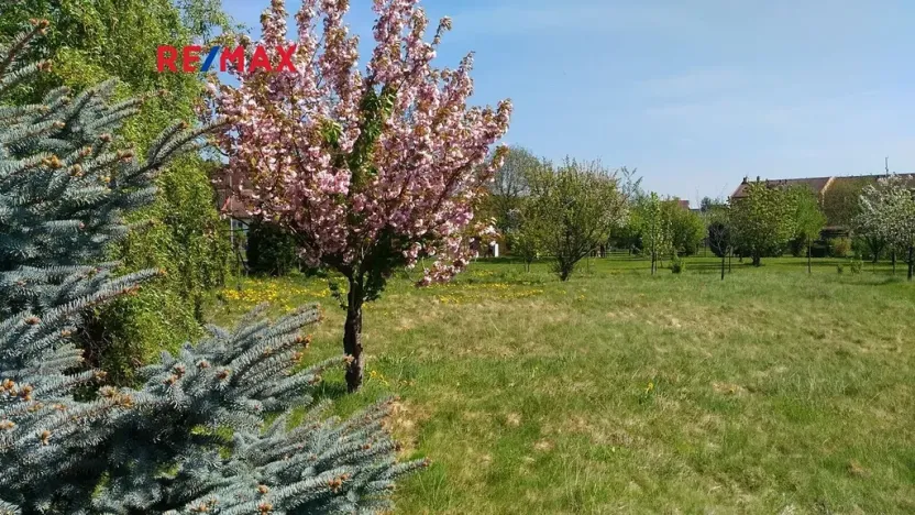 Prodej pozemku pro bydlení, Mikulovice, 1350 m2