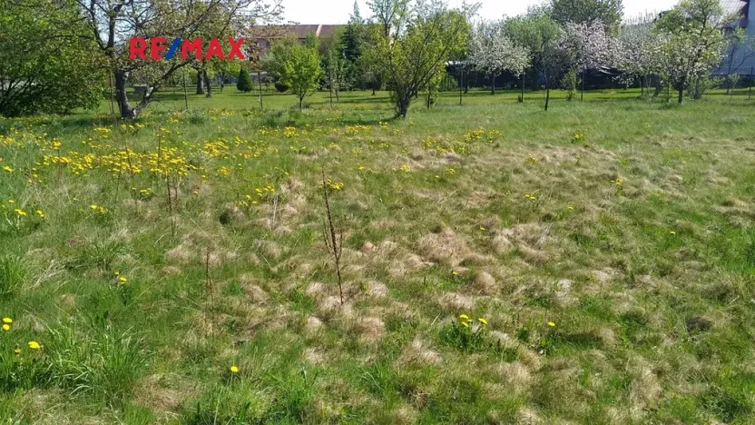 Prodej pozemku pro bydlení, Mikulovice, 1350 m2