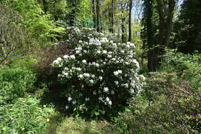 Prodej chaty, Křižanovice, 40 m2