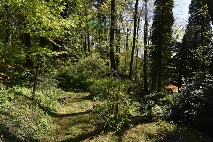 Prodej chaty, Křižanovice, 40 m2