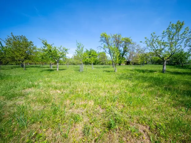 Prodej pozemku pro bydlení, Bučovice, 3623 m2