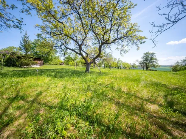 Prodej pozemku pro bydlení, Bučovice, 3623 m2