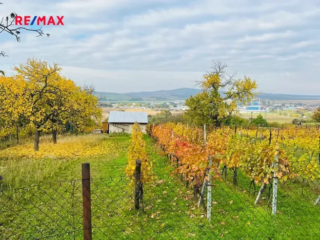 Prodej chaty, Kyjov, 20 m2