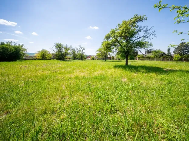 Prodej pozemku pro bydlení, Bučovice, Náhorní, 7851 m2