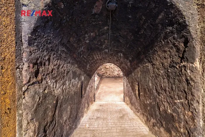 Prodej vinného sklepa, Brod nad Dyjí, 70 m2