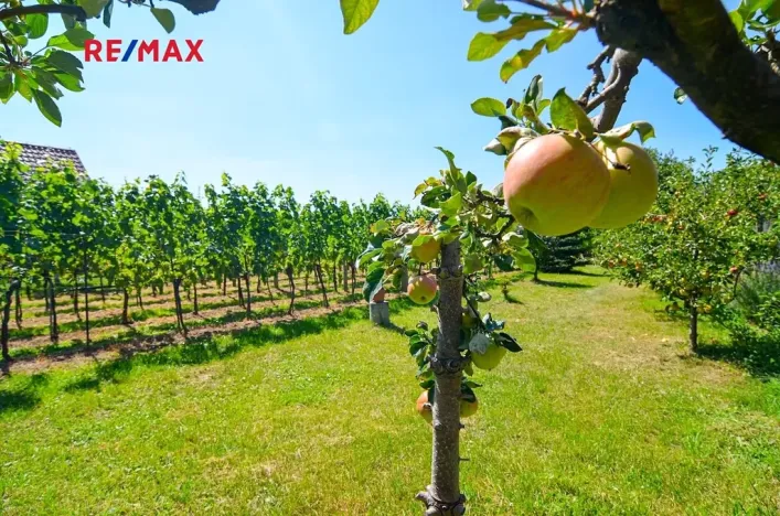 Prodej zahrady, Mikulov, 997 m2