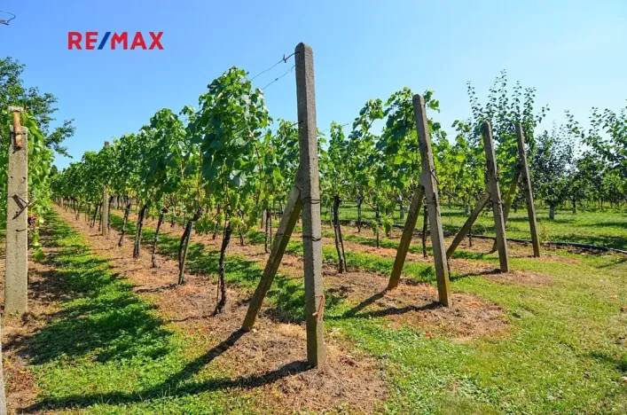 Prodej zahrady, Mikulov, 997 m2