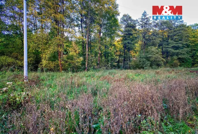 Prodej louky, Biskupice - Zálesí, 2421 m2