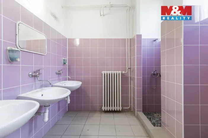 Prodej obchodního prostoru, Frýdek-Místek - Frýdek, Dobrovského, 1150 m2