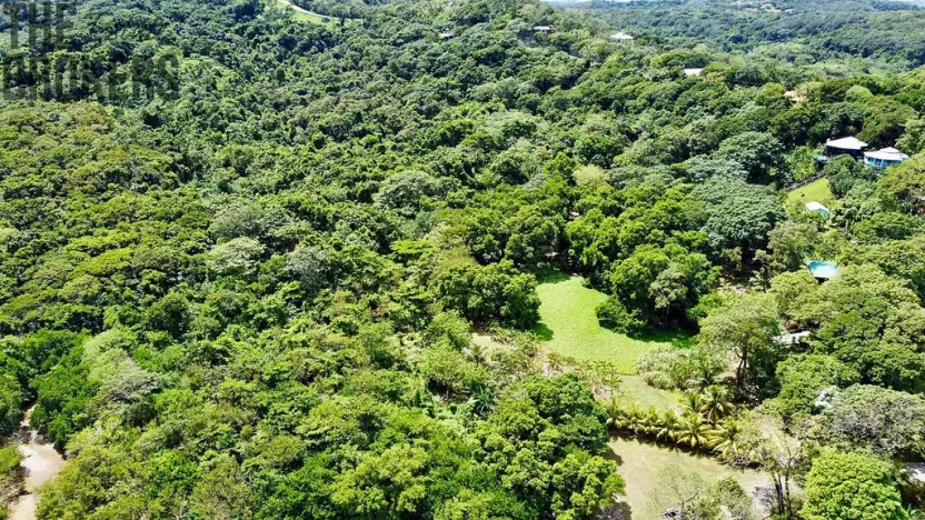 Prodej pozemku, Coxen Hole, Roatán, Honduras, 3265 m2