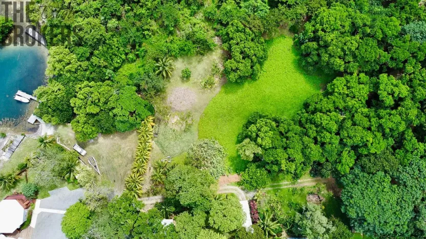 Prodej pozemku, Coxen Hole, Roatán, Honduras, 3265 m2