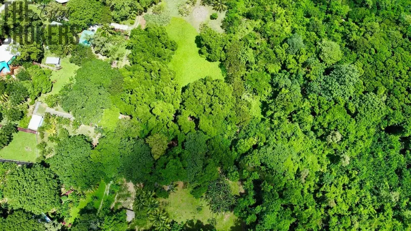 Prodej pozemku, Coxen Hole, Roatán, Honduras, 3265 m2