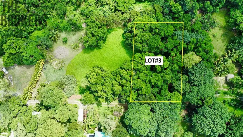 Prodej pozemku, Coxen Hole, Roatán, Honduras, 2090 m2