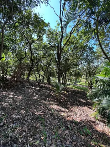 Prodej pozemku, Coxen Hole, Roatán, Honduras, 770 m2