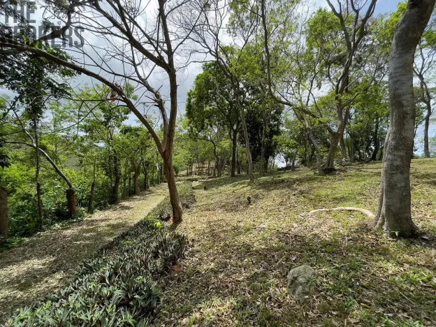 Prodej pozemku, Coxen Hole, Roatán, Honduras, 2400 m2
