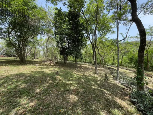 Prodej pozemku, Coxen Hole, Roatán, Honduras, 2400 m2