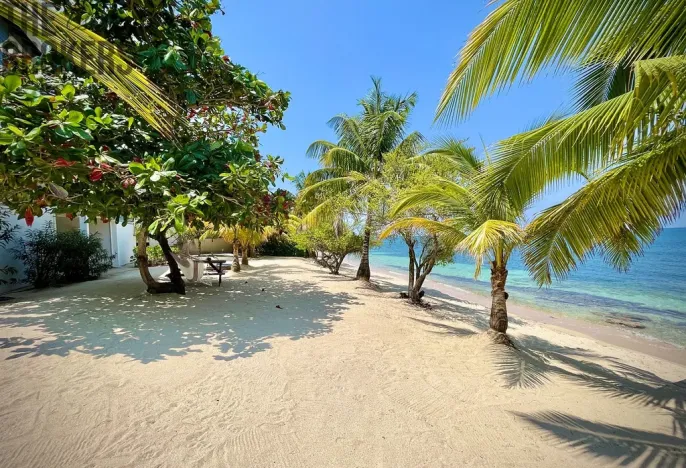 Prodej rodinného domu, Coxen Hole, Roatán, Honduras, 1022 m2