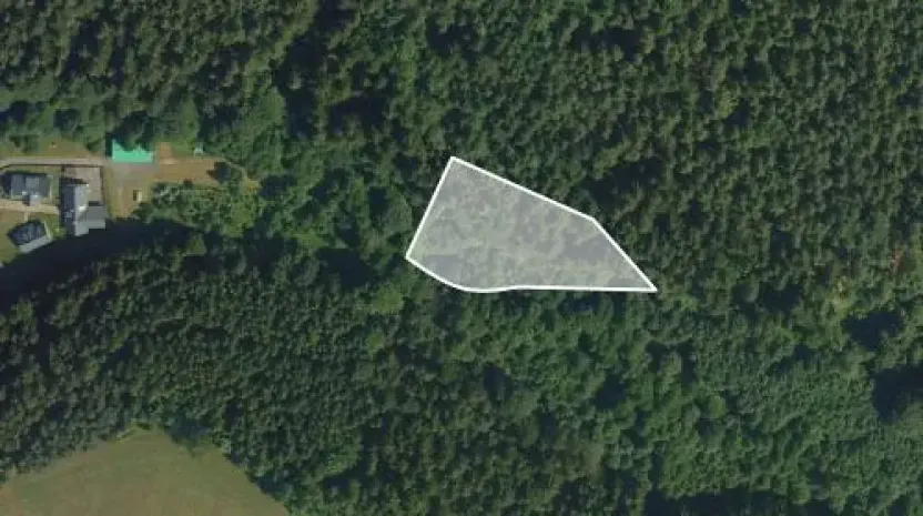 Prodej podílu pole, Těchonín, 538 m2