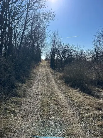 Prodej zahrady, Hustopeče, 4050 m2