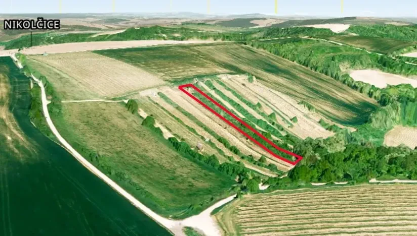 Prodej sadu/vinice, Nikolčice, 2568 m2