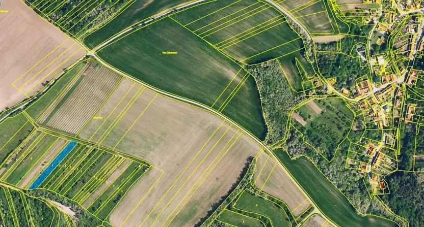 Prodej sadu/vinice, Nikolčice, 2568 m2