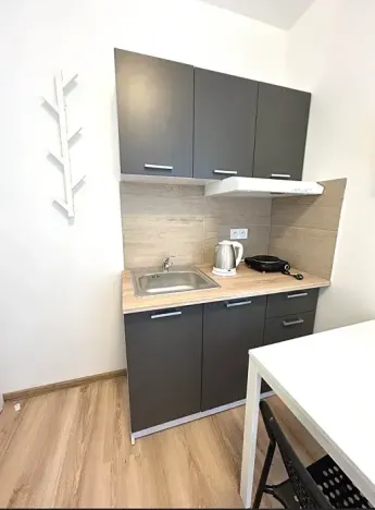 Pronájem bytu 1+kk, Kladno, Hřebečská, 16 m2