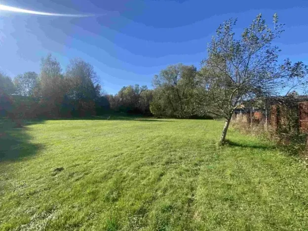 Dražba louky, Raspenava, 376 m2