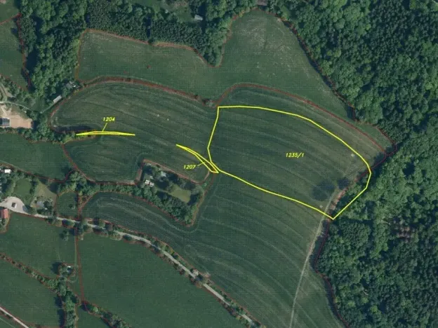 Dražba louky, Semily, 28066 m2