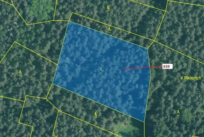 Dražba lesa, Kuřimany, 8912 m2