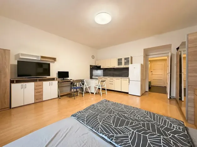 Prodej bytu 1+kk, Praha - Žižkov, Jičínská, 38 m2