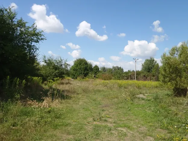 Prodej louky, Kosmonosy, 8401 m2