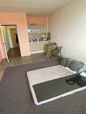 Pronájem bytu 1+kk, Pardubice, Trnovská, 36 m2