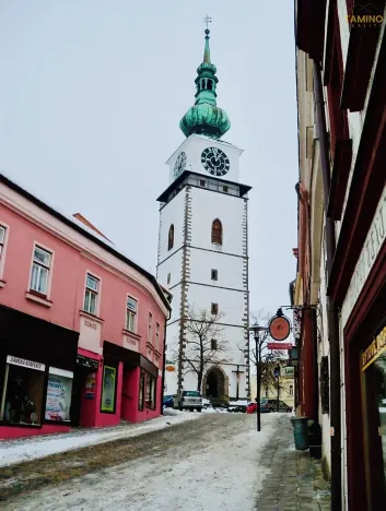 Pronájem bytu 1+kk, Třebíč, Hasskova, 23 m2