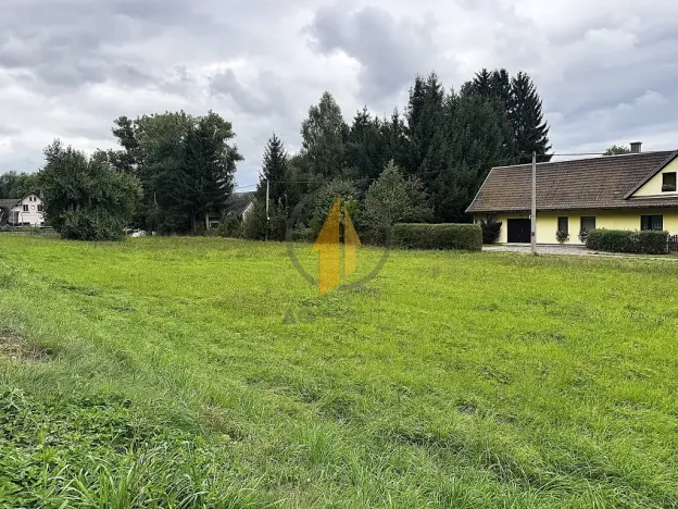 Prodej pozemku pro bydlení, Horní Olešnice, 2510 m2