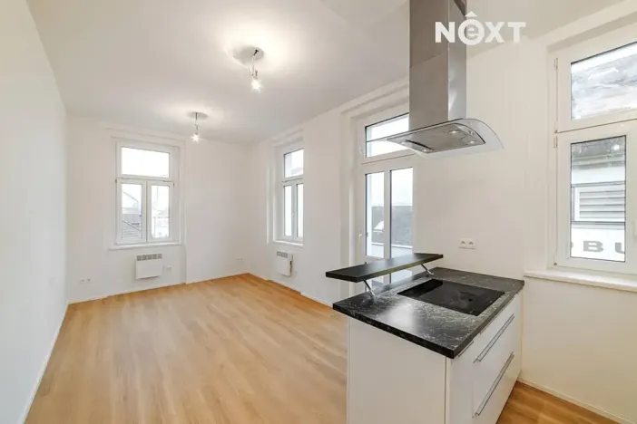 Prodej bytu 1+kk, Praha - Zbraslav, Elišky Přemyslovny, 33 m2