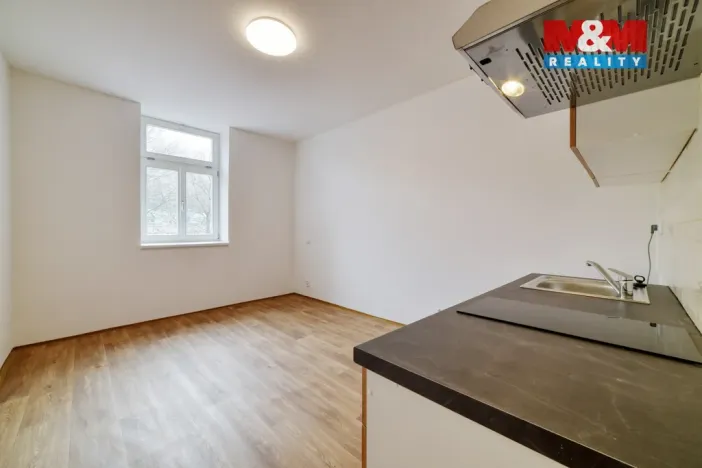 Pronájem bytu 1+kk, Mariánské Lázně, Hlavní třída, 20 m2