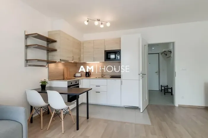 Pronájem bytu 1+kk, Praha - Žižkov, Malešická, 38 m2