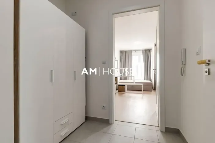 Pronájem bytu 1+kk, Praha - Žižkov, Malešická, 38 m2