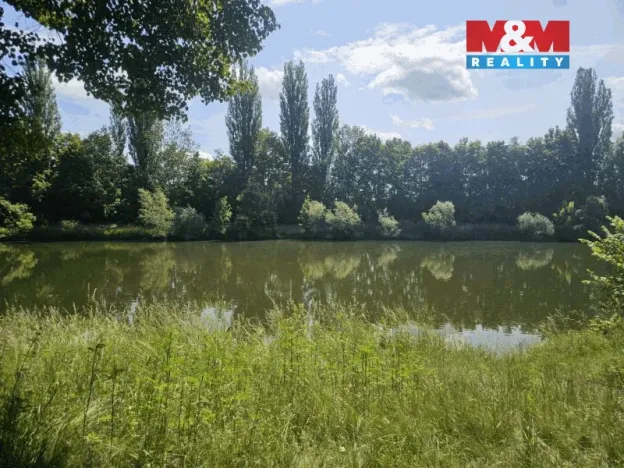 Prodej louky, Hradec Králové - Pražské Předměstí, 1000 m2