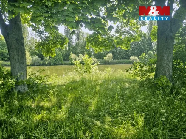 Prodej louky, Hradec Králové - Pražské Předměstí, 1000 m2