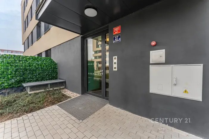 Pronájem bytu 1+kk, Praha - Žižkov, Olgy Havlové, 32 m2