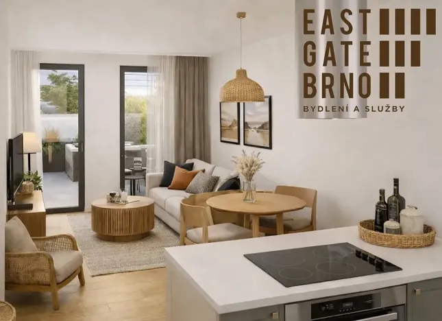 Prodej bytu 2+kk, Brno, Řípská, 52 m2