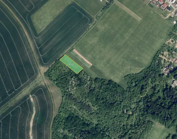 Prodej louky, Podolí, 5984 m2